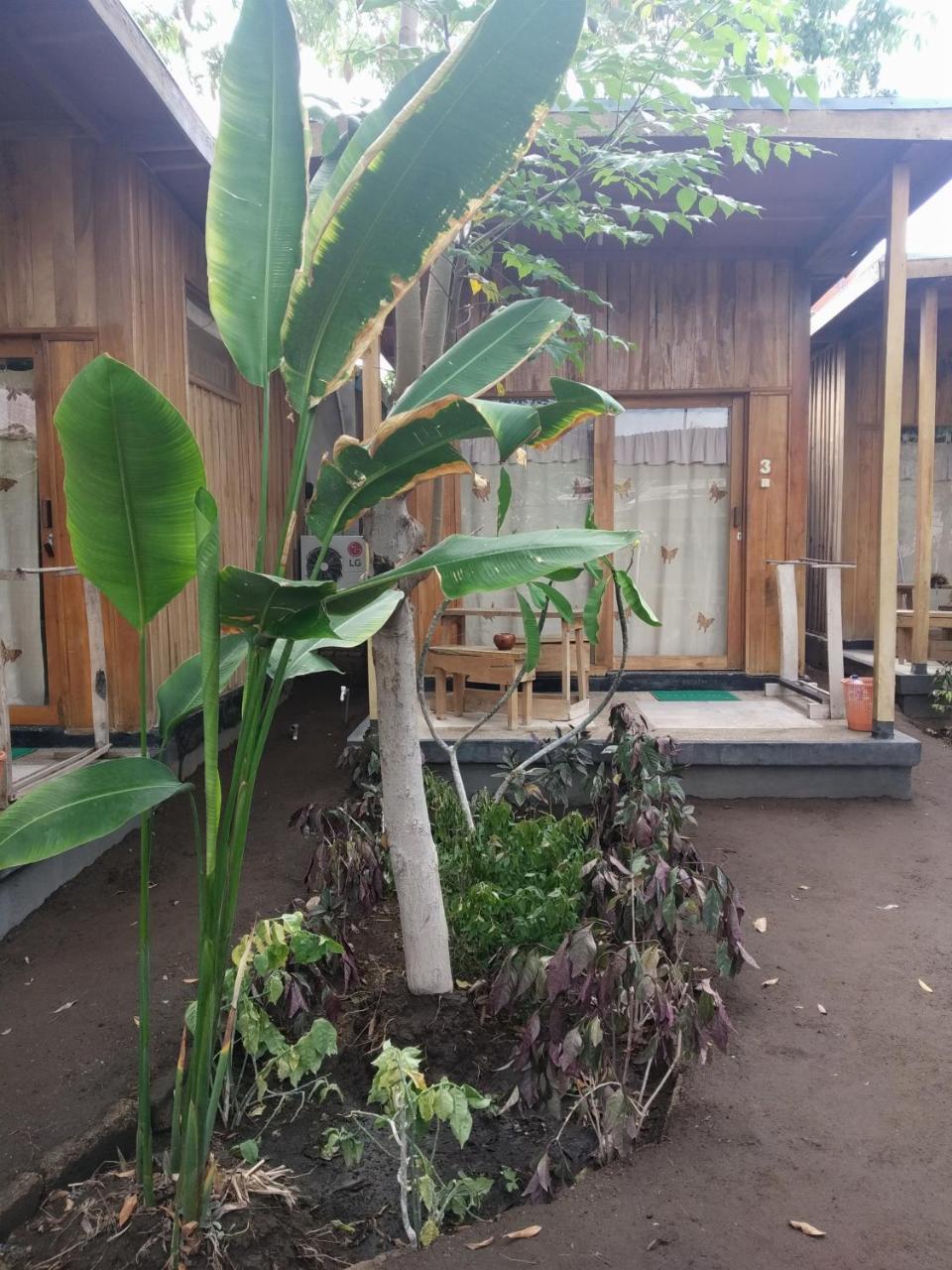 Beach Box Bungalow Gili Trawangan Kültér fotó